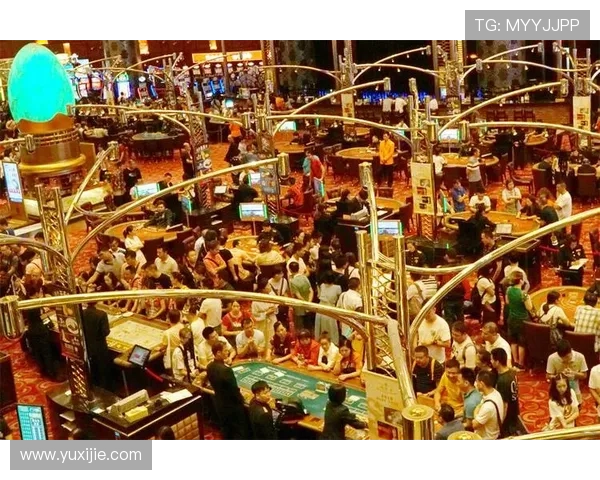 全面解析葡京娱乐场投注流程，提升你的游戏体验与盈利能力